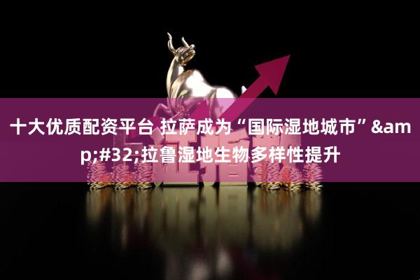 十大优质配资平台 拉萨成为“国际湿地城市”&#32;拉鲁湿地生物多样性提升